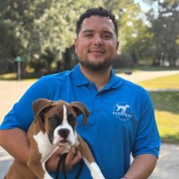 Jorge Rios Email & Phone Number