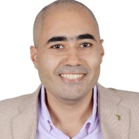 Vision Grid Energy Employee Tarek Zahlawy's profile photo