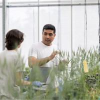 Lucent Bio Employee Hessam Solouki's profile photo