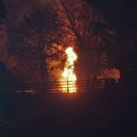 EuroMotorcars Germantown Employee John Heflin's profile photo