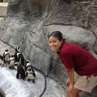 Allison Martinez Email & Phone Number