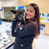 Juno Veterinary Employee Sierra Vigna's profile photo