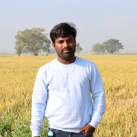 Tata Consultancy Services Employee Narayan Reddy's profile photo