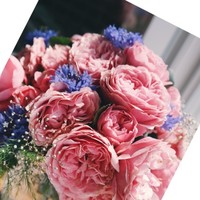 SEAL Consulting Inc Employee Manasa G's profile photo