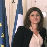 Mehrsa Koukabi-Fradelizi Email