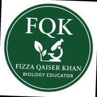 Skillston Educational System Employee Fizza Khan's profile photo