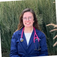 University of Illinois College of Veterinary Medicine Employee Rachel Eggleston's profile photo