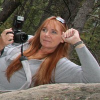 Traci Clark Email & Phone Number