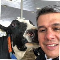 Daniel Gutierrez Email & Phone Number