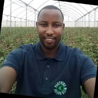 Global Farms Employee Chris Gitau's profile photo
