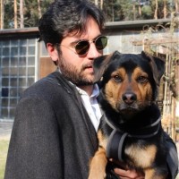 MILLEPIANI Elevators Employee Luigi Mosanghini's profile photo