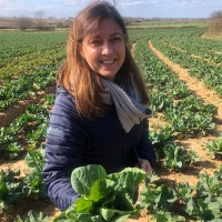 Wellocks Employee Jill Acma's profile photo