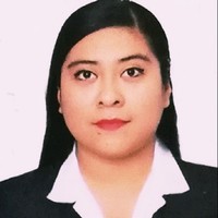 Logix Solution Employee Andrea Paola Vilcapuma Melo's profile photo
