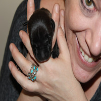 Jennifer Siegel