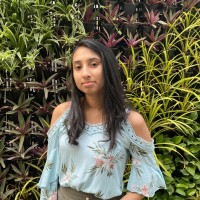 Nikitha Matta Email