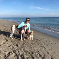 Moore Consulting Employee Stephen Moore's profile photo