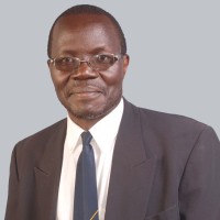 KGOBISA PROJECTS Employee Davis Chesoli's profile photo