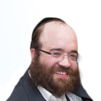 The Grapevine - Kosher Wine Employee David Margulies's profile photo
