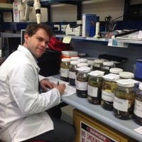 Western Australian Museum Employee Kenny Travouillon's profile photo