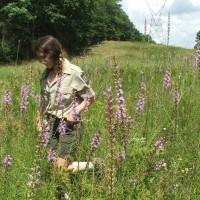 Southeast Conservation Corps Employee Emily Cloud's profile photo