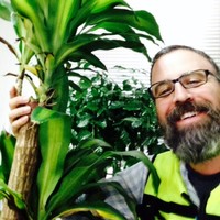 Dan Healey Email & Phone Number