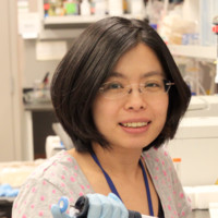 Sundance Biosciences Employee Mei-Yao Lin's profile photo
