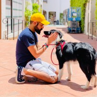 Amazon Employee Akash Yadav's profile photo