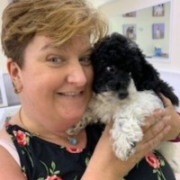 AppleBlossom Florist Employee Lizz Johnson's profile photo