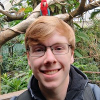 Made4Data Employee Bas Lemmen's profile photo