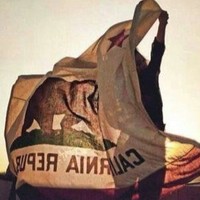 Collier Employee Melissa Hatley's profile photo