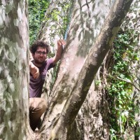 Societat Orgànica Employee Francesco Ogliengo's profile photo