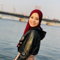 Dina Eldin Email
