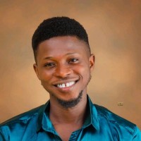 ArtemisVision Employee Tobi Tijani's profile photo