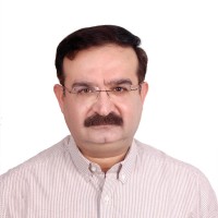 Yogendra Bellani Email