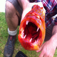 NRW Employee Greg Downes's profile photo