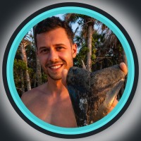 SHRKco.com Employee Jeffrey Heim's profile photo