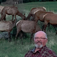 Lisle Corporation Employee Jay Gerdts's profile photo