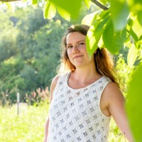 Katie Willmering Email & Phone Number