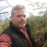 CODISA Software Corp, Employee Cristóbal Candel's profile photo