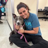 Chava Finn Email & Phone Number