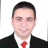 Mahmoud Kafafy Email