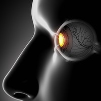 Wayne State University Physician Group (UPG) Employee Bas Sumya Al-Jabali's profile photo