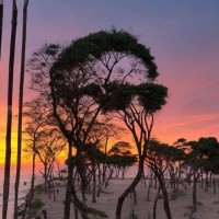 Nathan Day Email & Phone Number