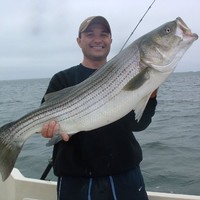 Boston Financial Data Services Employee Steve Sapir's profile photo