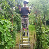 PTB Machinefabriek Employee René Bolleboom's profile photo