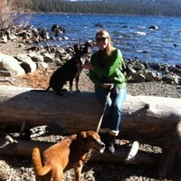 Anne Harrell Email & Phone Number