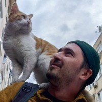 Pinsteps Employee Koldyaev Dmitry's profile photo
