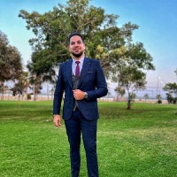 DataHive Employee Mahmoud Ibrahim's profile photo