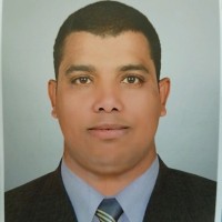 Diaaeldin Elsayed Email