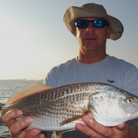 Stephen Daignault Email & Phone Number